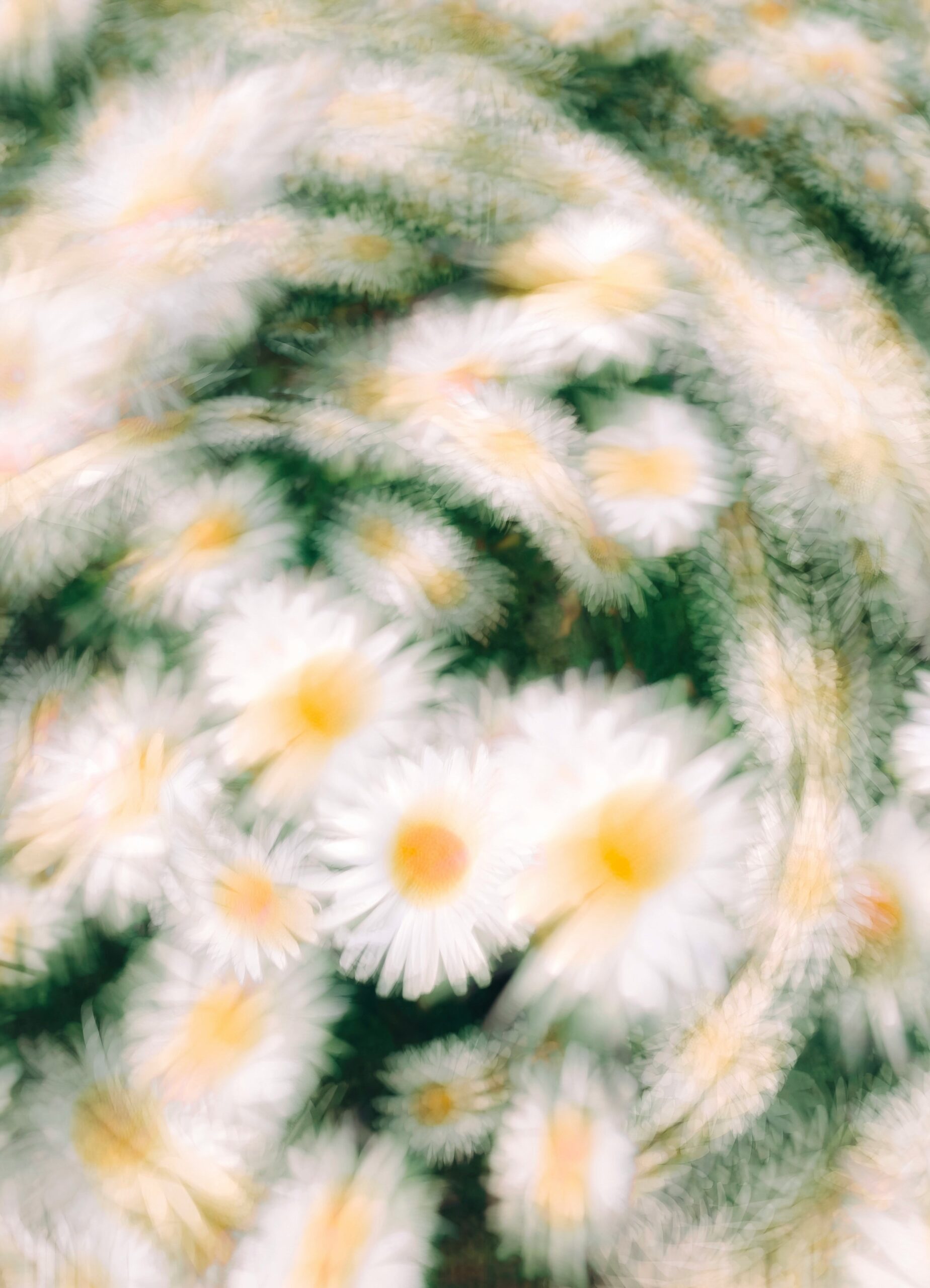 nega-koze-lica-akne-rozacea-dermatitis-60